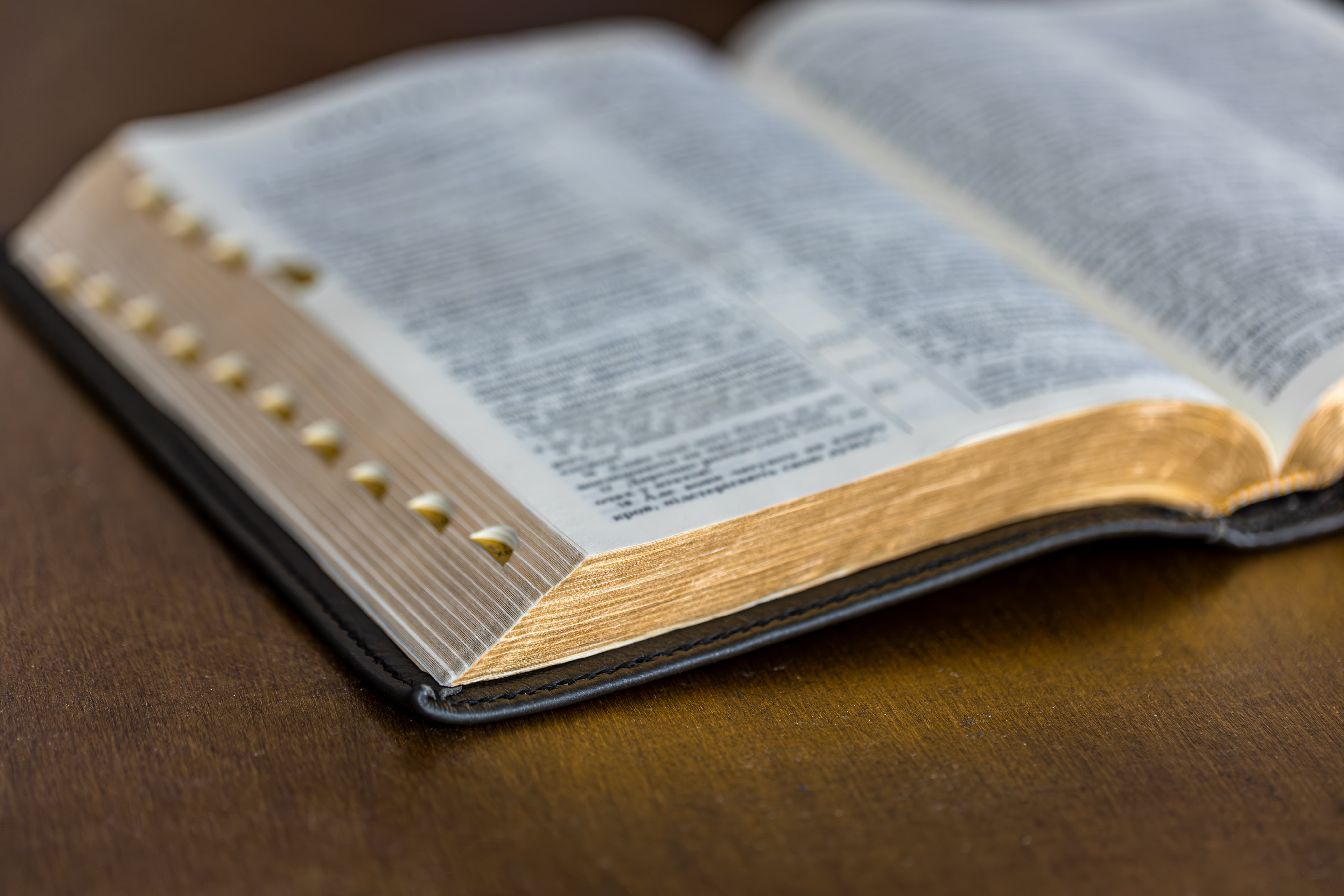 Biblia Digital